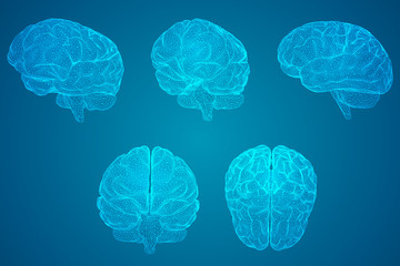 哪些养生知识适合在秋季发给顾客？