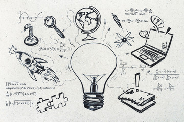 世界最奇葩的五大动物