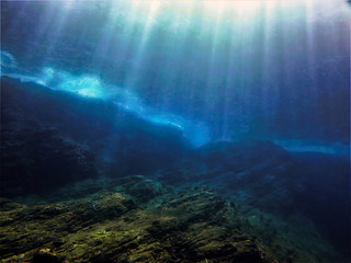 高一生物《细胞的分化》教学设计
