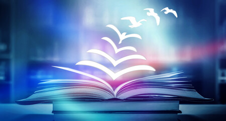 迪士尼和迪斯尼有什么区别