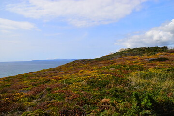 迪士尼和迪斯尼有什么区别