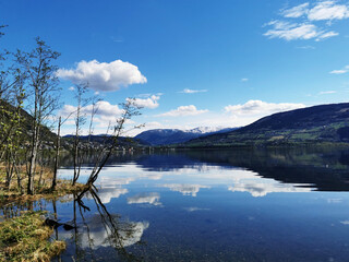 哪些养生知识适合在秋季发给顾客？