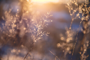 饮食健康手抄报简单