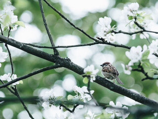 世界最奇葩的五大动物