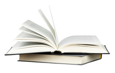 汉朝第11任皇帝汉元帝简介