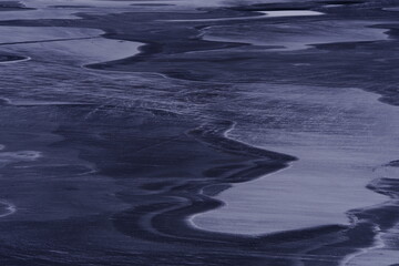 世界最奇葩的五大动物