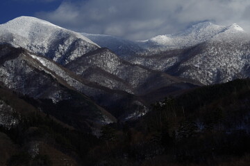 高一生物《细胞的分化》教学设计