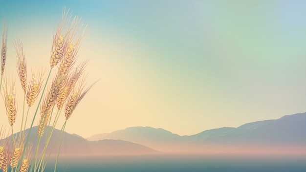 新房装修后如何让家更宜居？