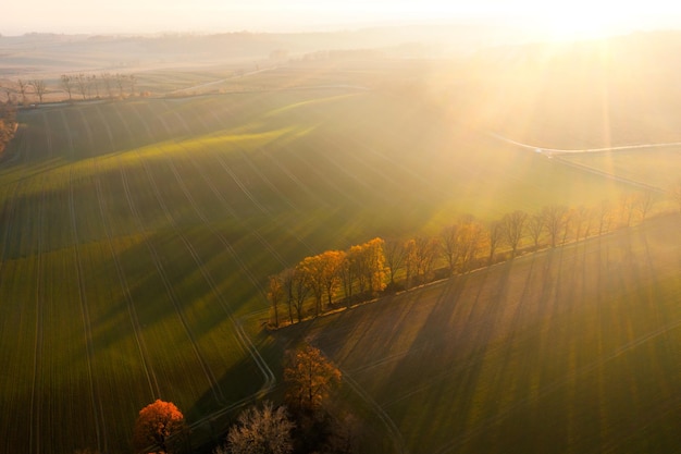 两个人互相暗恋有什么特征？