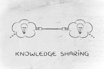 世界最奇葩的五大动物