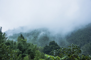 哪些养生知识适合在秋季发给顾客？